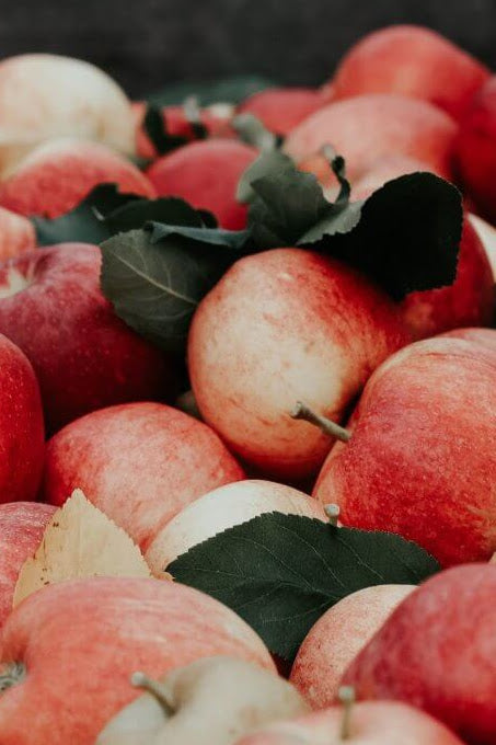 collection of apples with their leaves