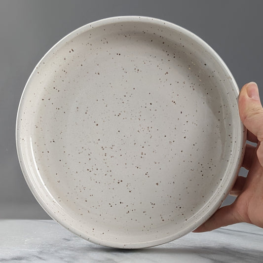 White Speckled Tray