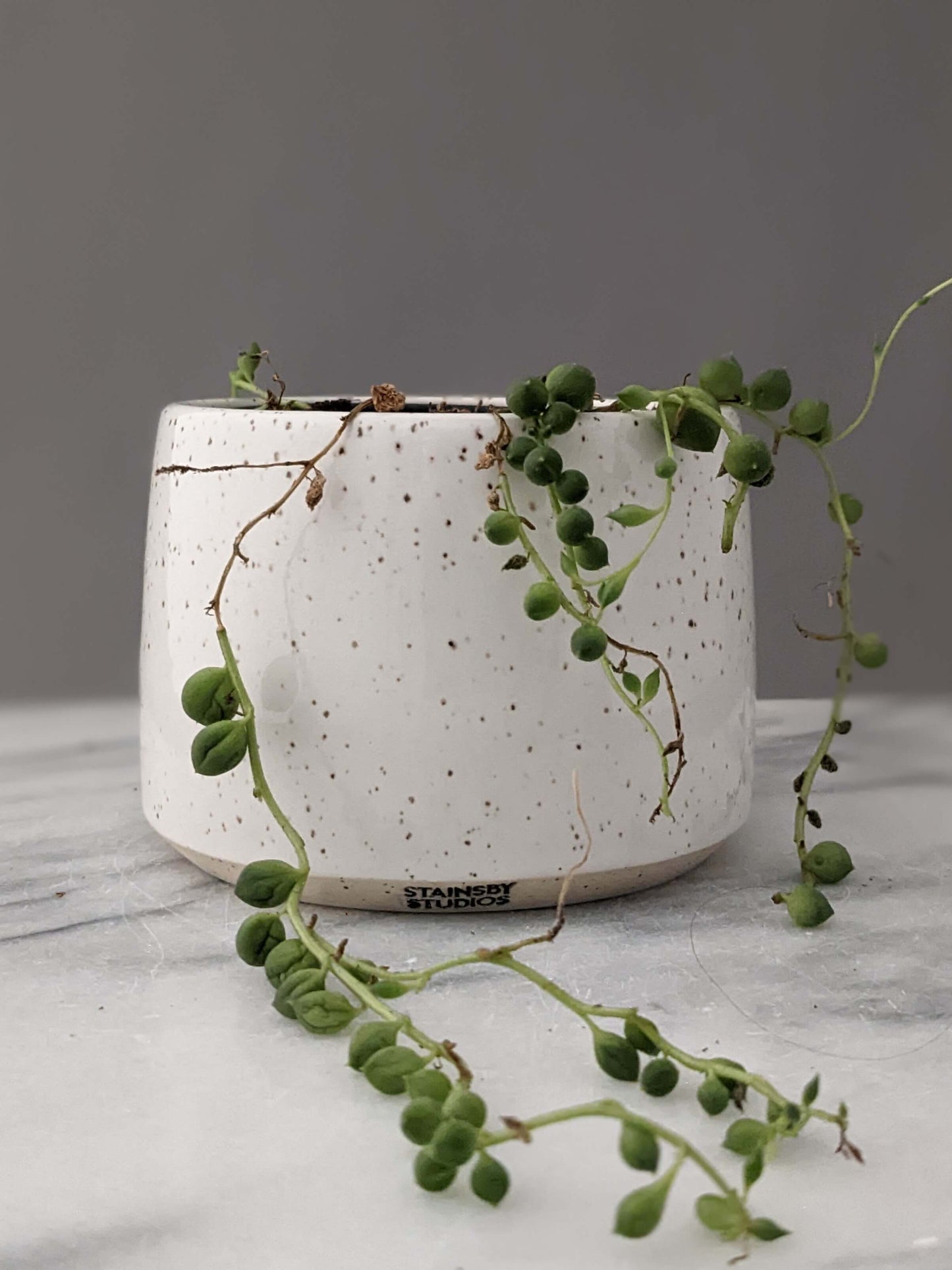 Small Speckled White Ceramic Planter