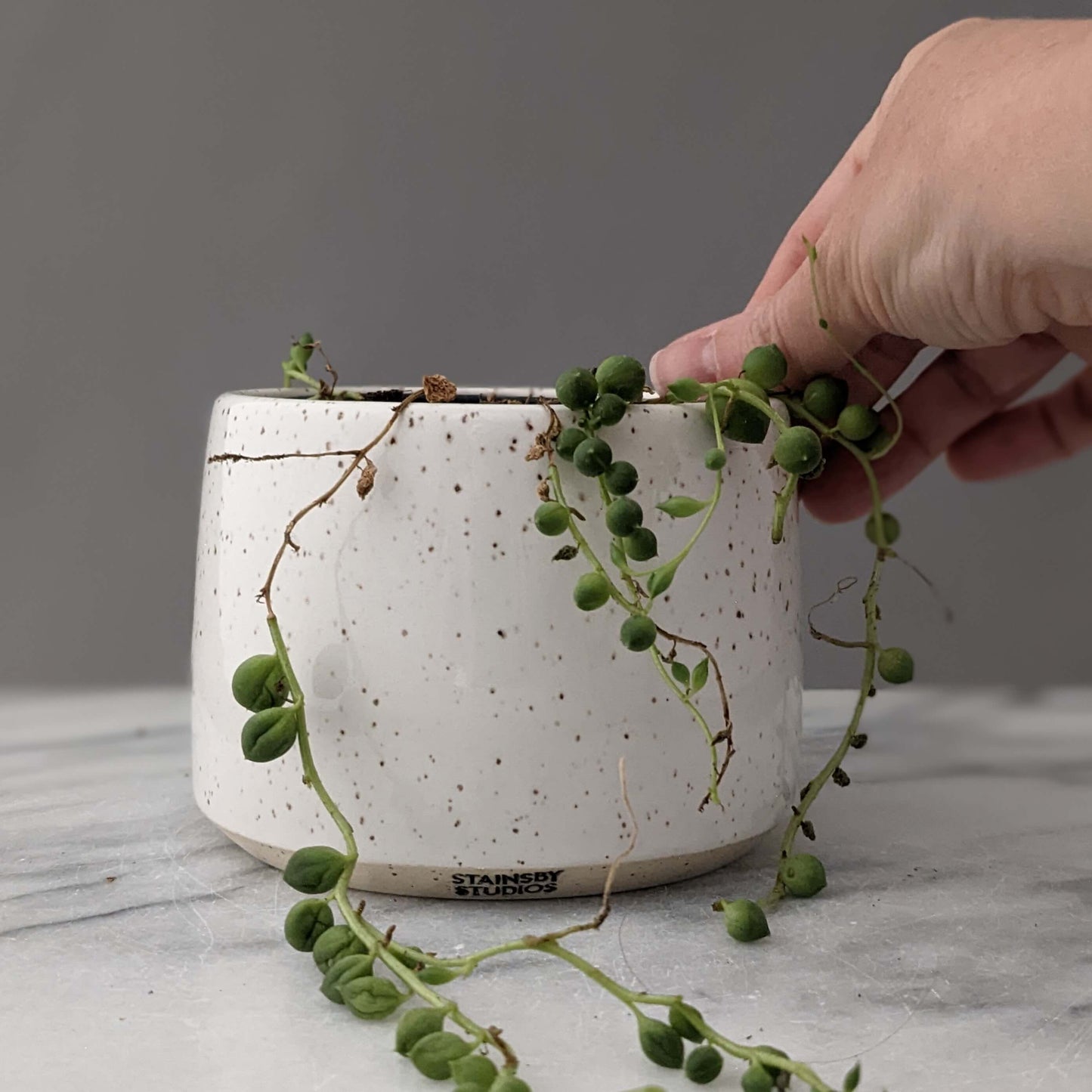 Small Speckled White Ceramic Planter