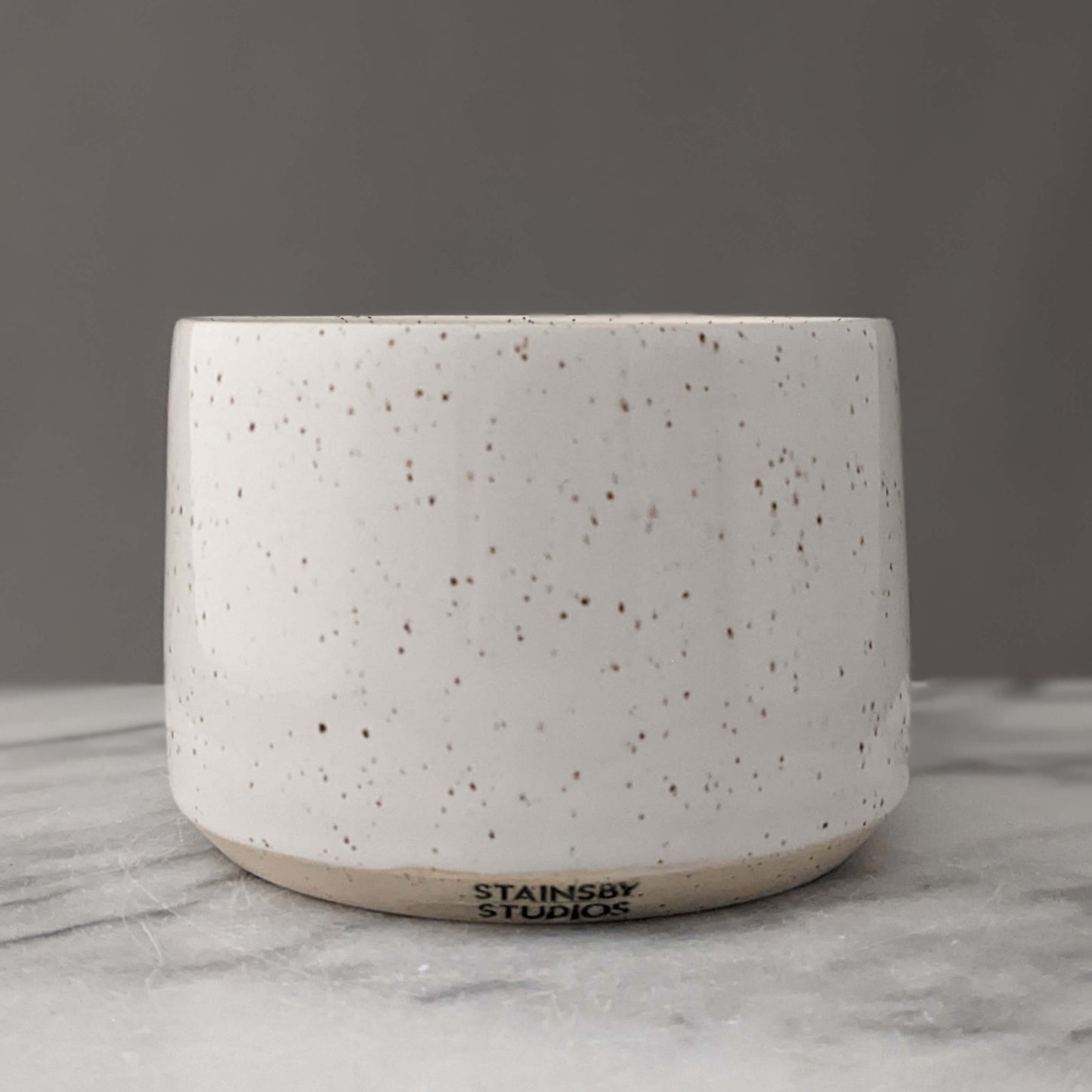 Speckled White Ceramic Planter