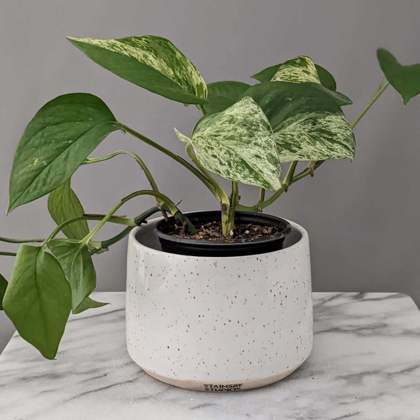 Small Speckled White Ceramic Planter