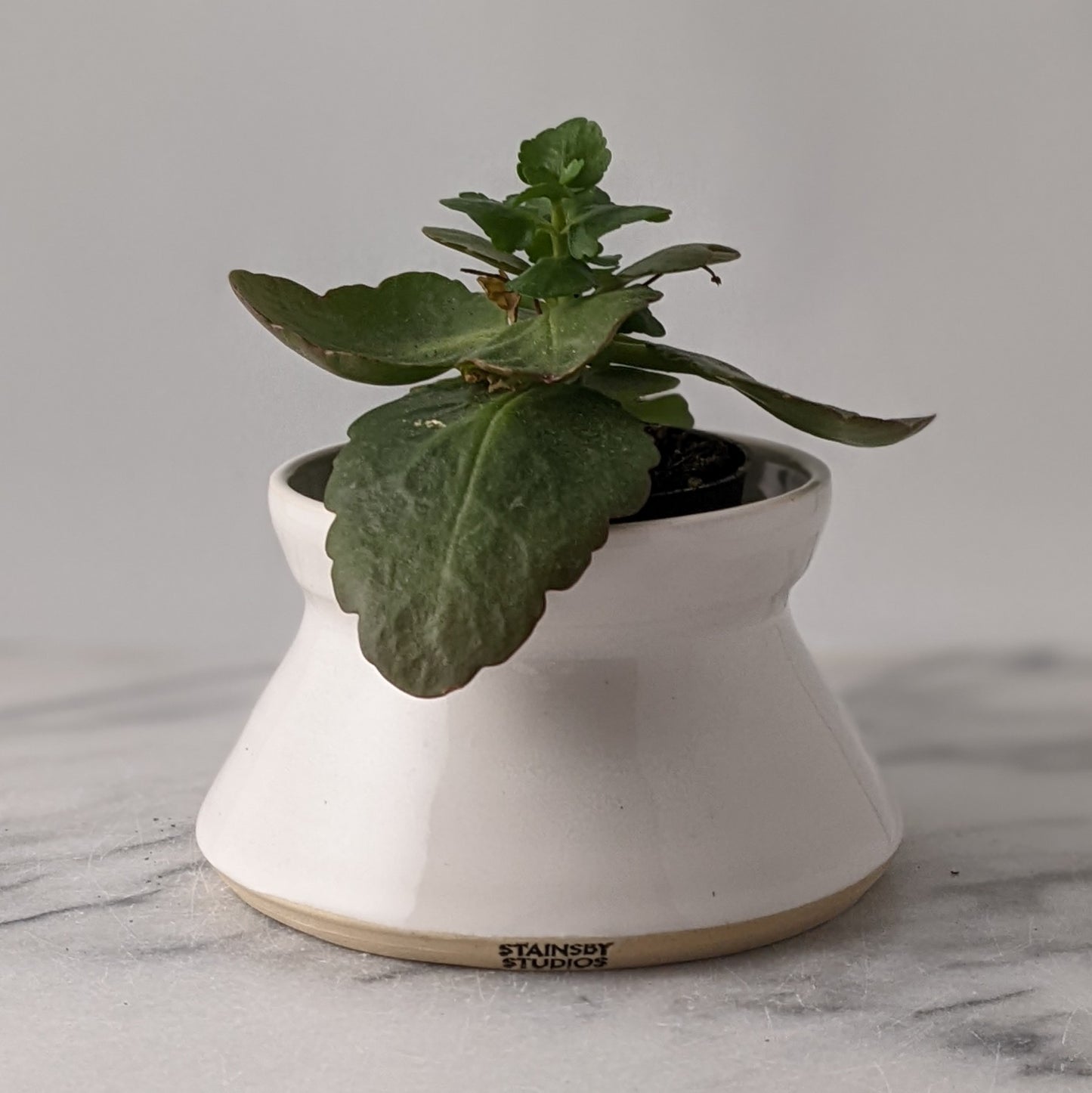 Modern Planter