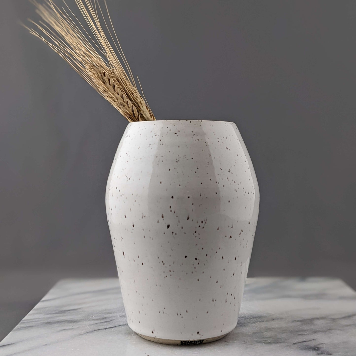 Modern White Ceramic Vase