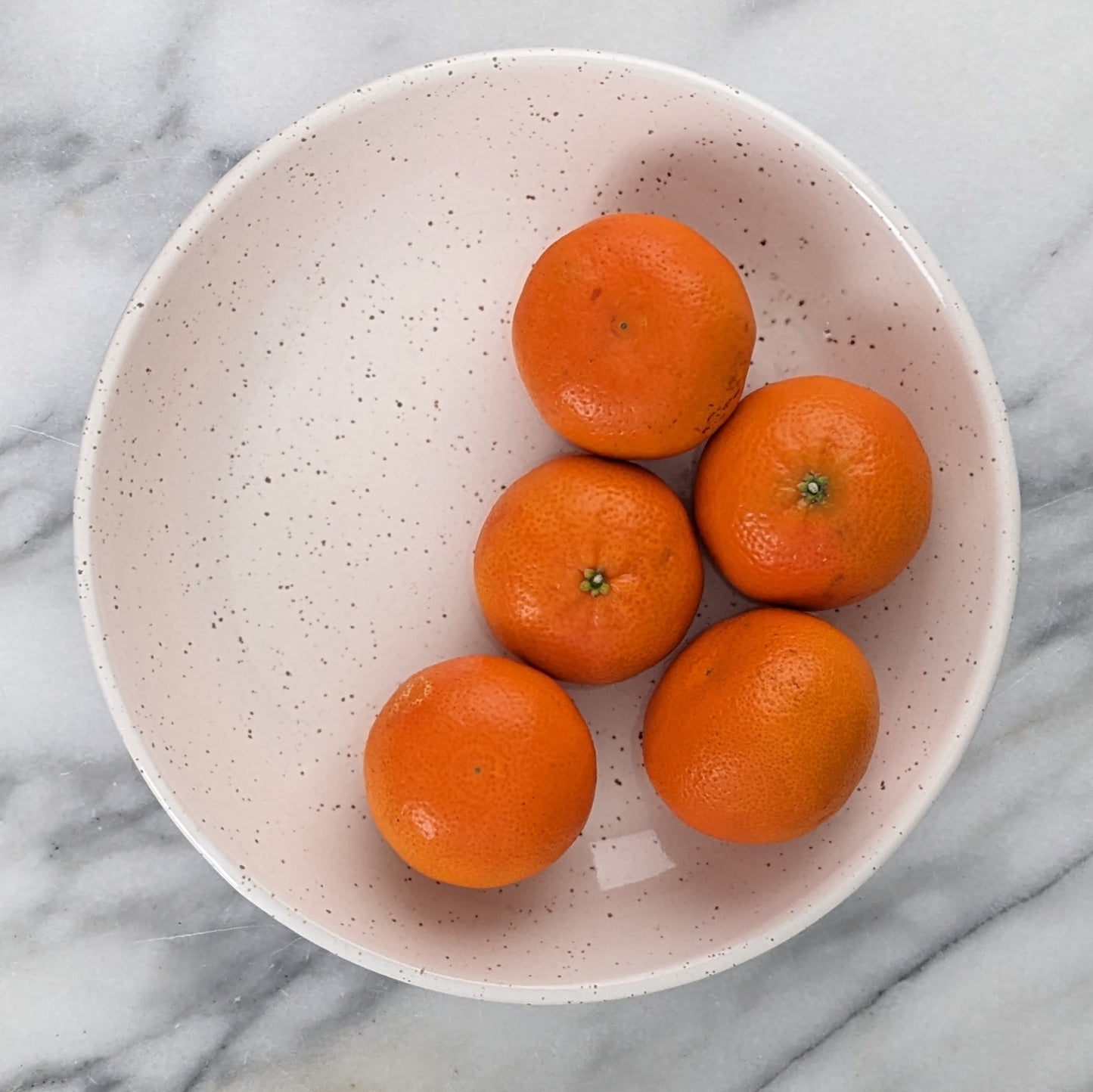 Low Wide White Speckle Bowl