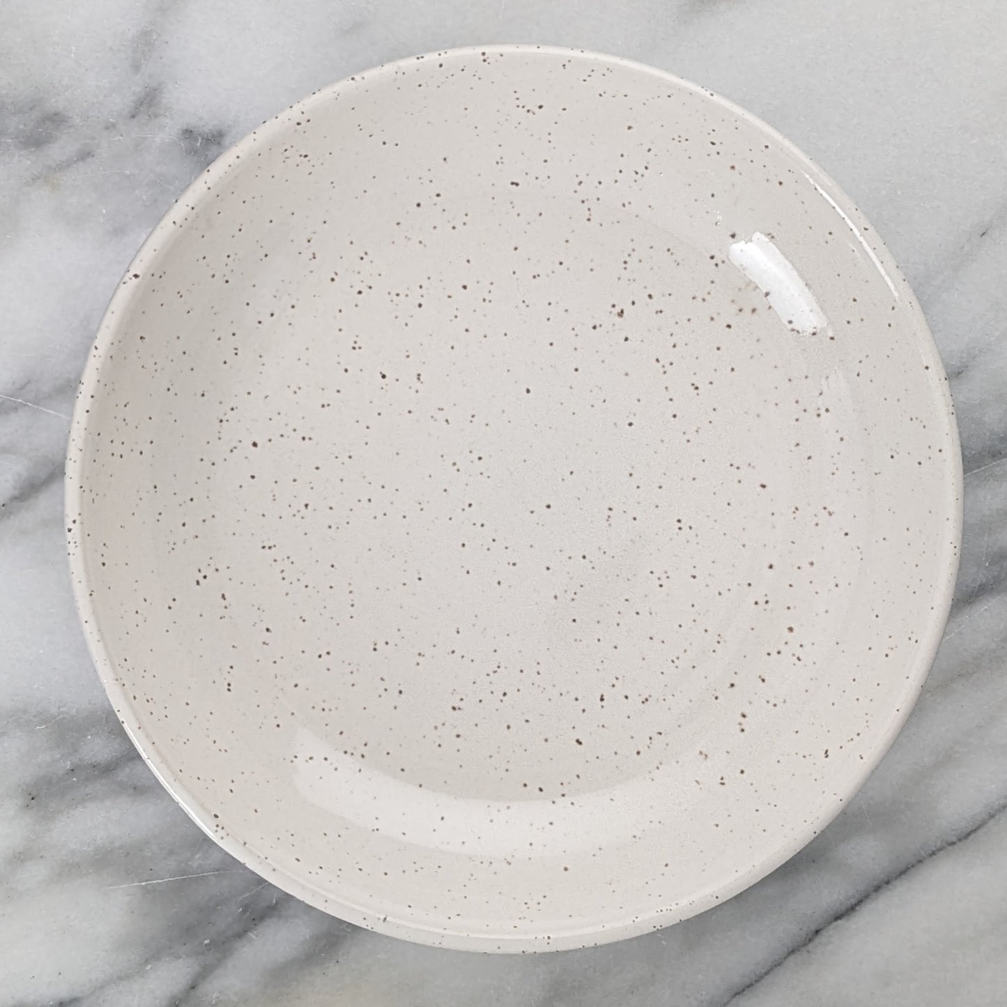 Low Wide White Speckle Bowl