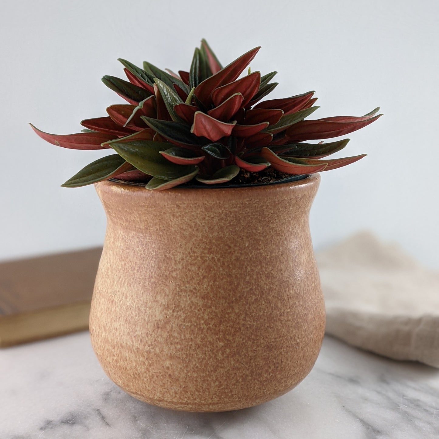 Norah Planter or Vase