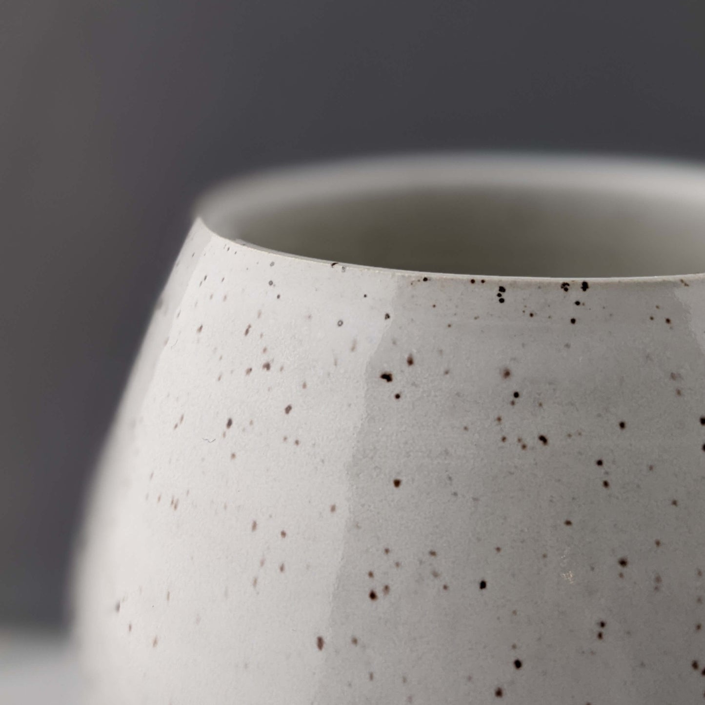 Modern White Ceramic Vase